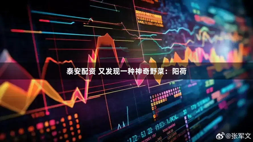 泰安配资 又发现一种神奇野菜：阳荷